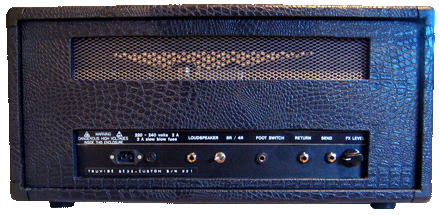 TruVibe SE35 Guitar Amp